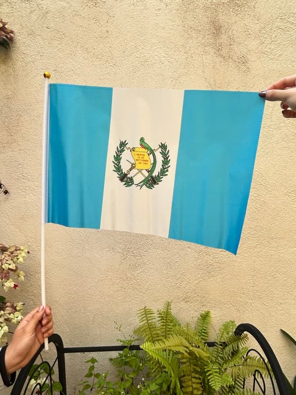 Bandera Grande