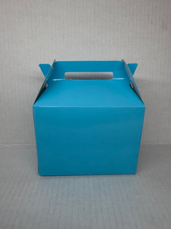 Caja Lonchera Pequeña